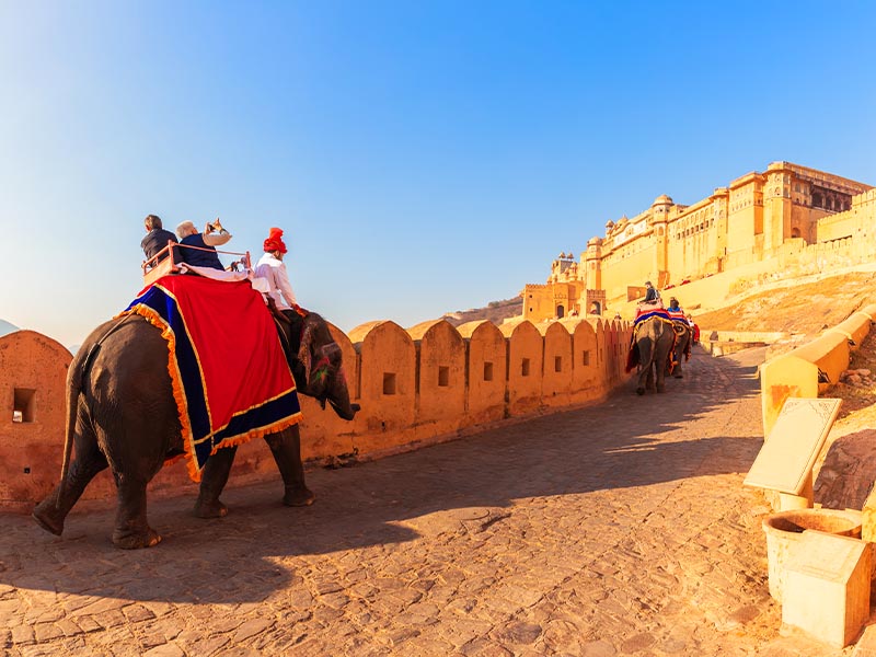Amber-Fort-&-Elephant-Ride