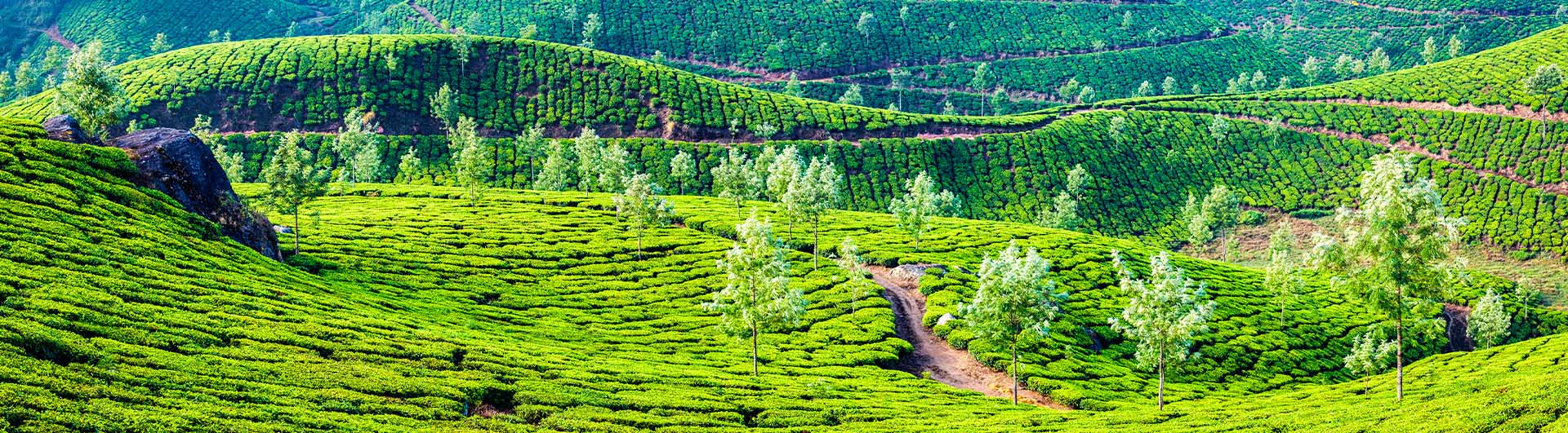 South India Special Tour